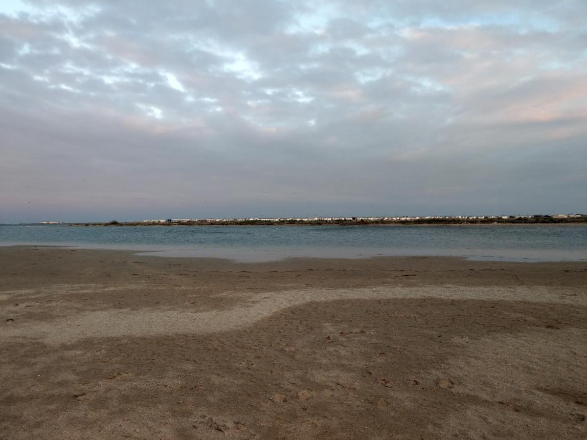 Mer Veilleuse Gruissan - Clim - Piscine エクステリア 写真
